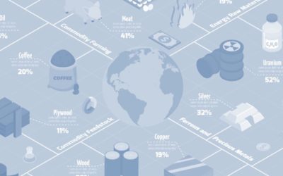 AN INTRODUCTION TO COMMODITIES